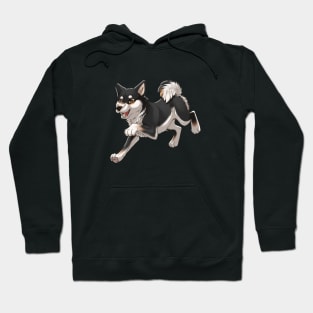 Black and Tan Shiba Inu Running Hoodie